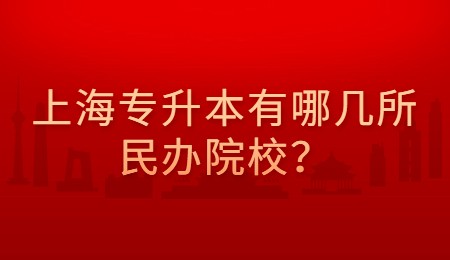 上海专升本有哪几所民办院校？